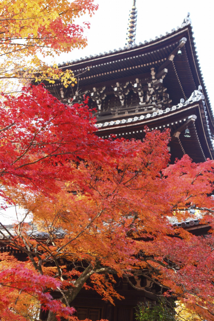南禅寺周辺の紅葉おすすめスポット 真如堂(真正極楽寺)