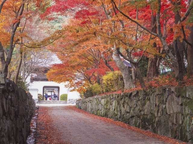 宇治の紅葉おすすめスポット 興聖寺