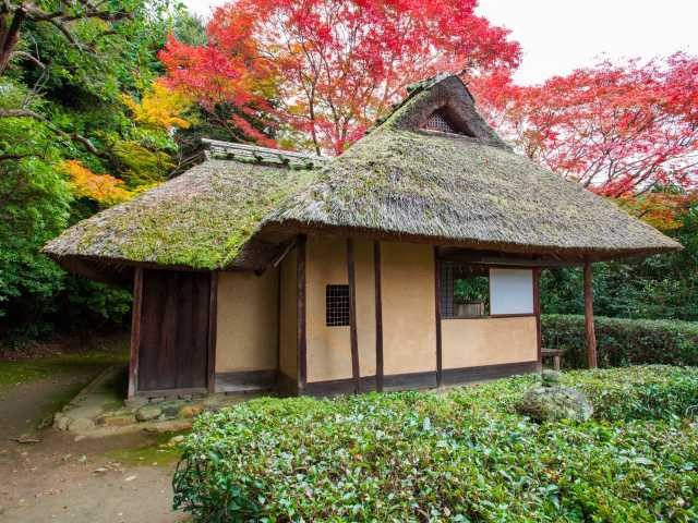 一乗寺・修学院周辺の紅葉おすすめスポット 金福寺