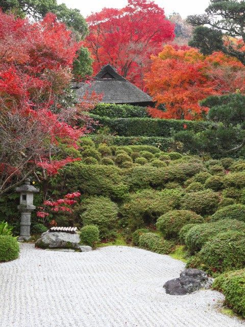 一乗寺・修学院周辺の紅葉おすすめスポット 金福寺