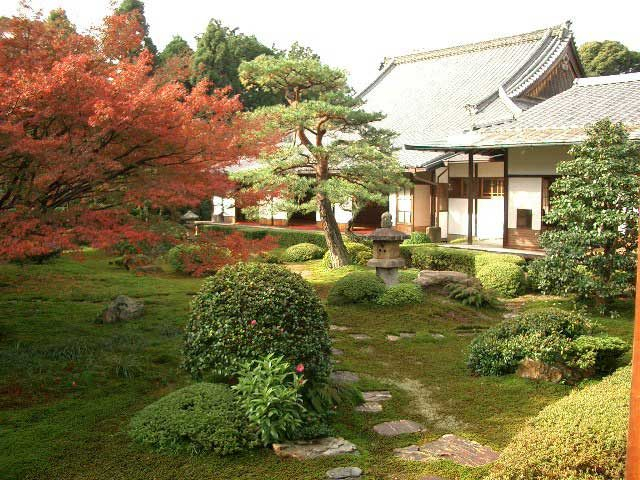 京都 ライトアップ紅葉 雲龍院
