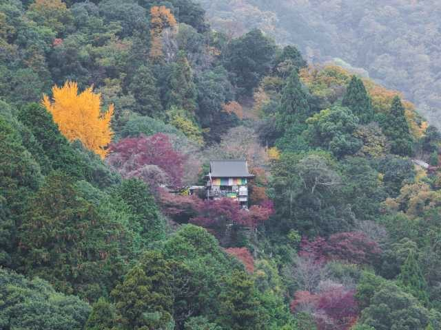 嵐山・嵯峨野周辺の紅葉おすすめスポット 大悲閣千光寺