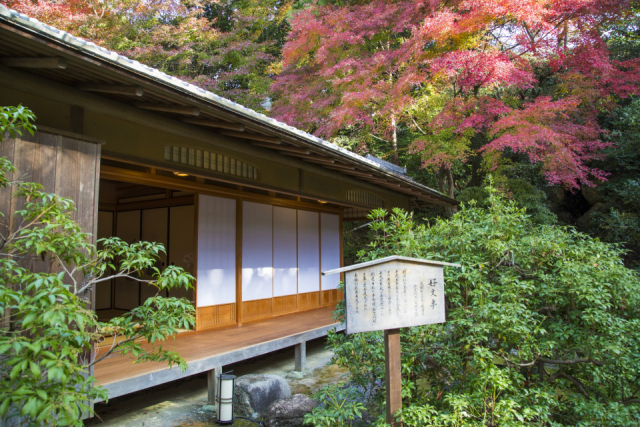 【青蓮院門跡のここが見どころ】好文亭