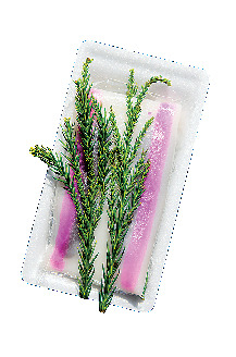 【天草ドライブ×おすすめスポット】4.﨑津教会