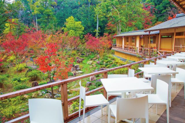 京都×紅葉カフェ 稲荷茶寮