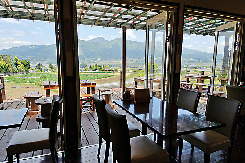 【熊本・阿蘇ドライブスポット×グルメ】雄大な自然を眺める絶景カフェ「カフェ プルニエ」