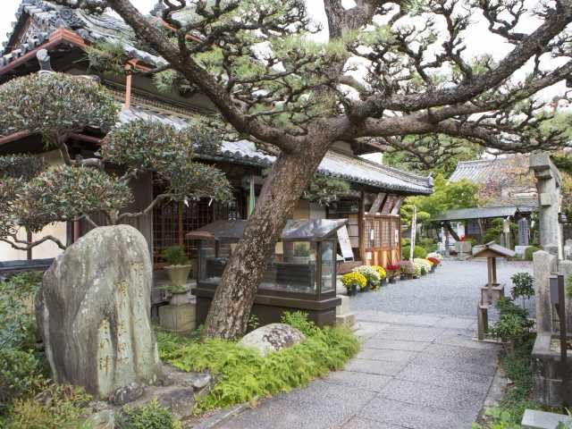 真田庵(善名称院)