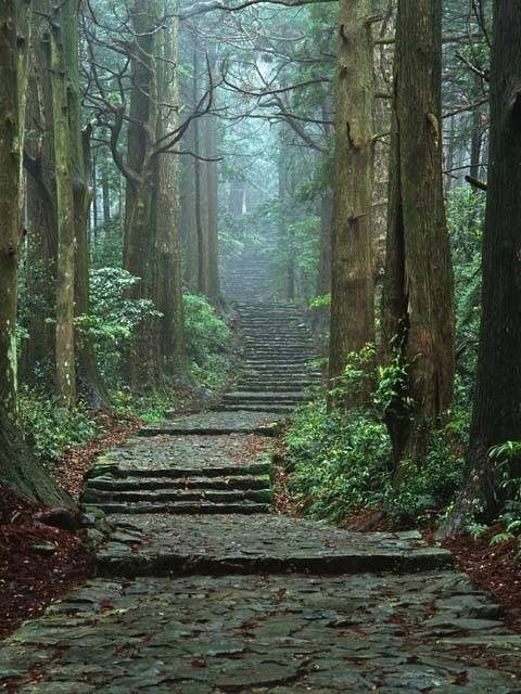 定期観光バスを利用して熊野三山を1日でめぐる