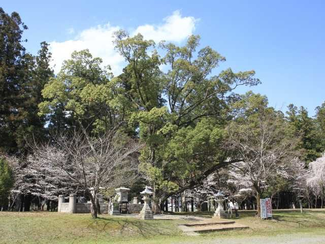 熊野本宮大社から徒歩5分!かつて熊野本宮大社があった熊野信仰発祥の地「大斎原」へ