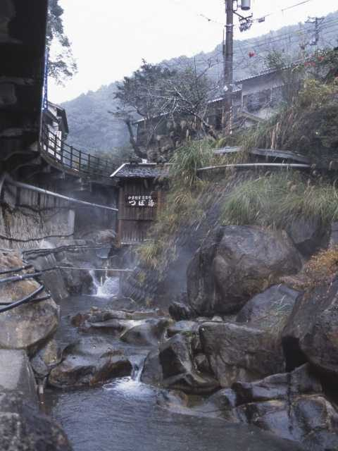 【世界遺産】つぼ湯