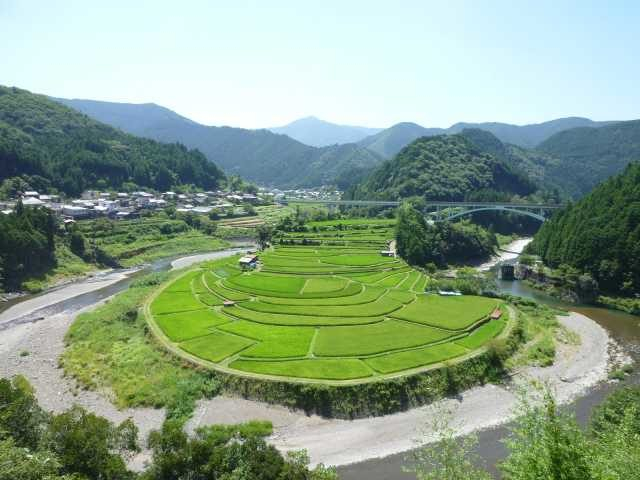 【和歌山観光 絶景&秘境めぐりモデルコース】10:00 あらぎ島