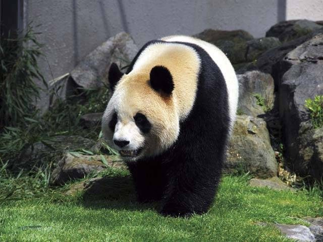 白浜 すさみ 田辺・みなべ