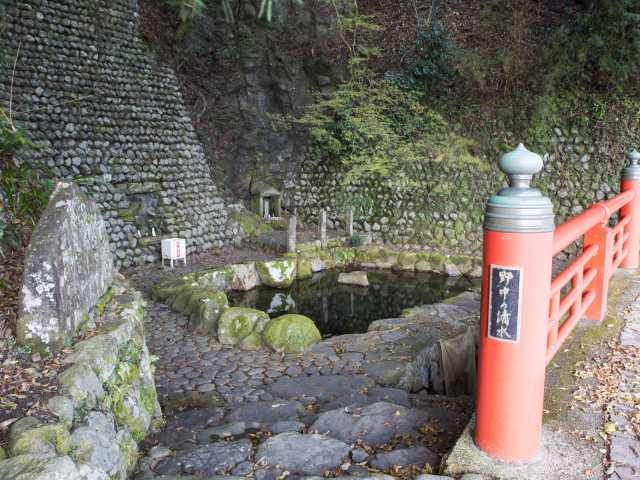 【熊野古道・中辺路×箸折峠〜継桜王子コース】3.樹齢800年の杉「継桜王子」