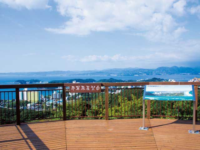 【白浜×ドライブ】四季折々の花に囲まれ海と街並みを見下ろす「平草原公園」