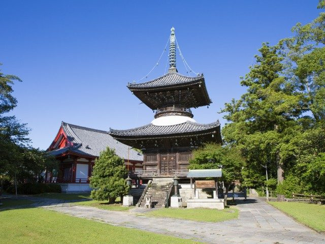 【田辺&みなべ×観光】巨星南方熊楠が眠る地「高山寺」