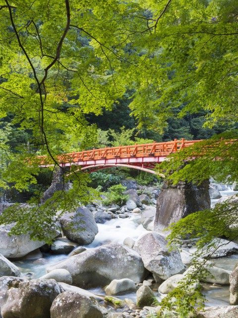 【田辺&みなべ×観光】奇岩と紅葉が美しい「奇絶峡」