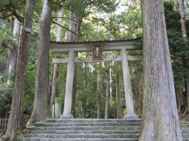 原始林を縫って流れる聖なる大滝「那智の滝(飛瀧神社)」