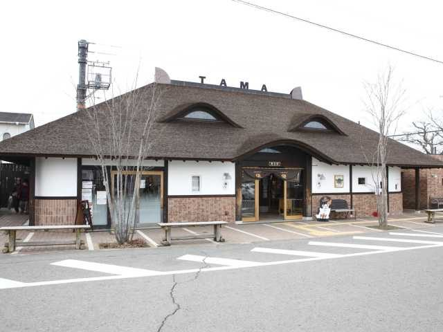 スーパー駅長ニタマ