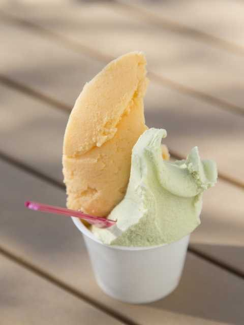 【和歌山観光 南紀白浜温泉とことんモデルコース】15:00 南紀白浜オリーブ&ジェラート工房