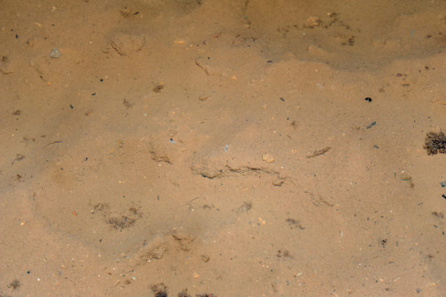 秋芳洞王道コース⑤ 千町田