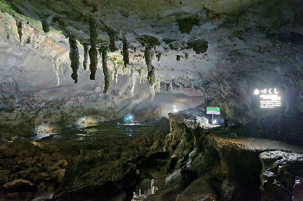 秋芳洞王道コース⑥ 傘づくし