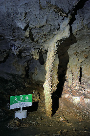 秋芳洞王道コース⑥ 傘づくし
