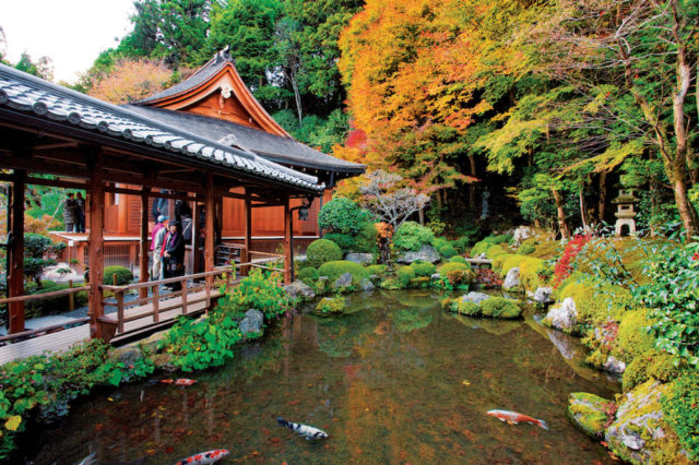大原の紅葉おすすめスポット 寂光院