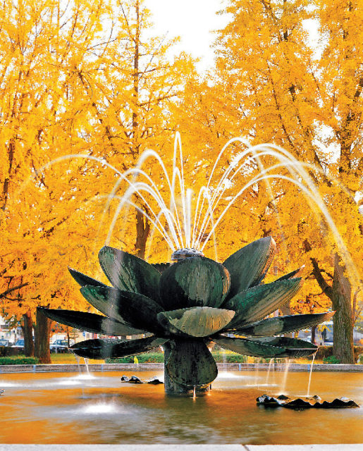 京都 イチョウの名所 東本願寺