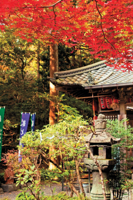 一乗寺・修学院周辺の紅葉おすすめスポット 赤山禅院