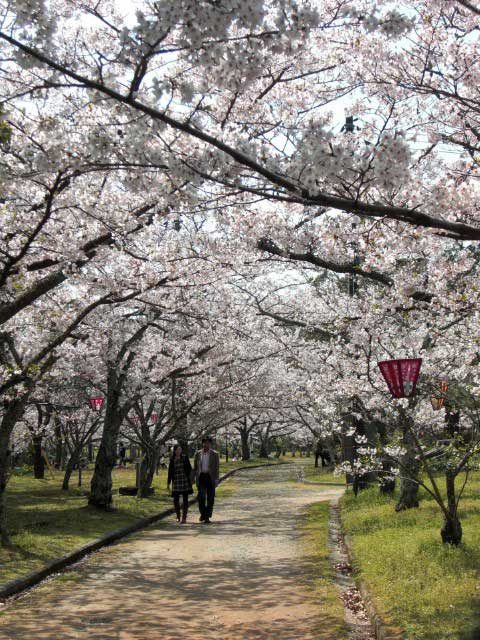 毛利家ゆかりの地 萩城跡指月公園