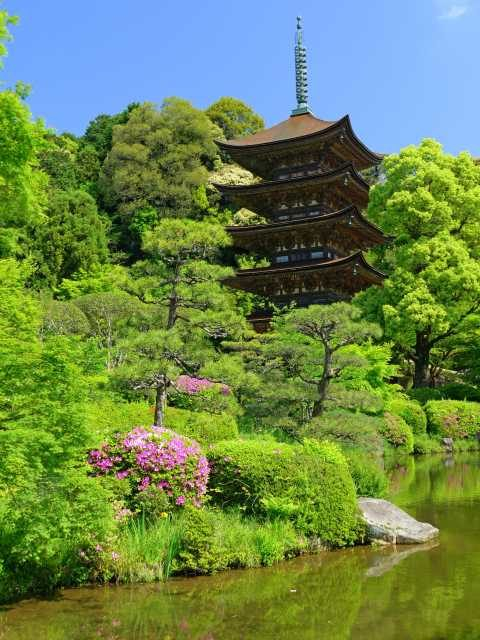 モデルプラン③ 国宝瑠璃光寺五重塔