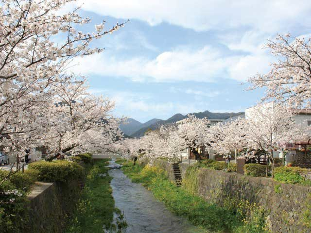 モデルプラン① 一の坂川