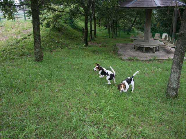 【ひと足のばして】らかん高原 スカイパーク