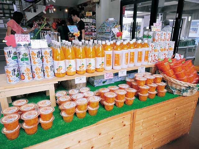 【周防大島シーサイドドライブ②】10:30 道の駅 サザンセトとうわ