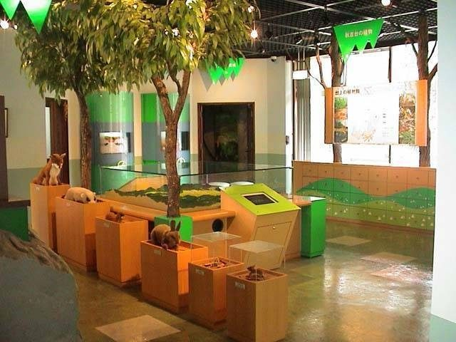 秋吉台の観光スポット③ 秋吉台エコ・ミュージアム