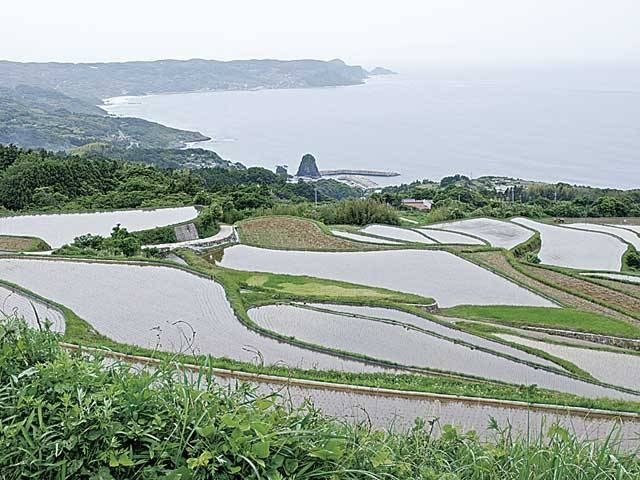 元乃隅神社から行ける注目SPOT② 東後畑棚田