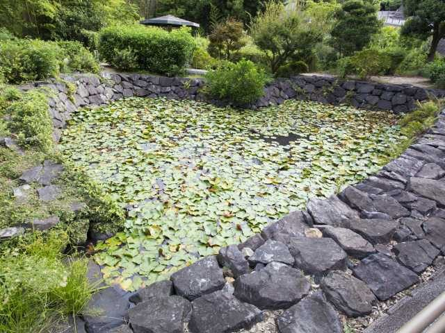 元乃隅神社から行ける注目SPOT③ 楊貴妃の里