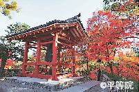 宇治の紅葉おすすめスポット 平等院(世界遺産)