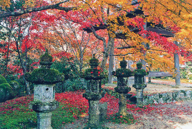 高雄の紅葉おすすめスポット 西明寺