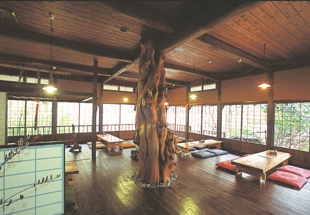 【熊本・小国郷×小国そば】辛味大根と味わう外一そば「白川そば隠庵」