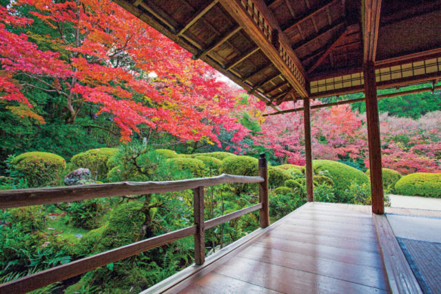 一乗寺・修学院周辺の紅葉おすすめスポット 詩仙堂