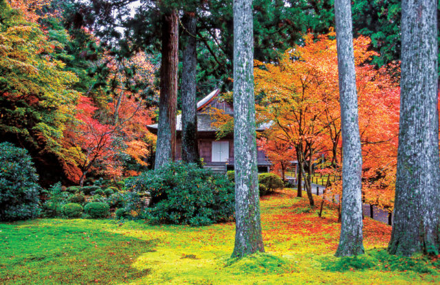 大原の紅葉おすすめスポット 三千院