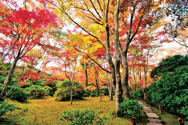 嵐山・嵯峨野周辺の紅葉おすすめスポット 大河内山荘庭園