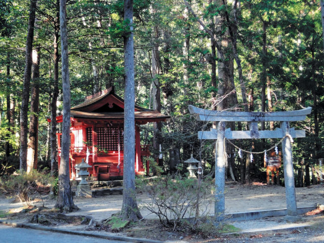 【熊野古道・中辺路×発心門王子〜熊野本宮大社コース】1.熊野本宮大社の神域の入り口「発心門王子」