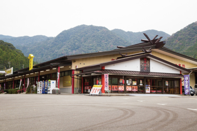 【那智勝浦×マグロ】まぐろの花が咲き誇る迫力の丼にテンションアップ!「那智ねぼけ堂」