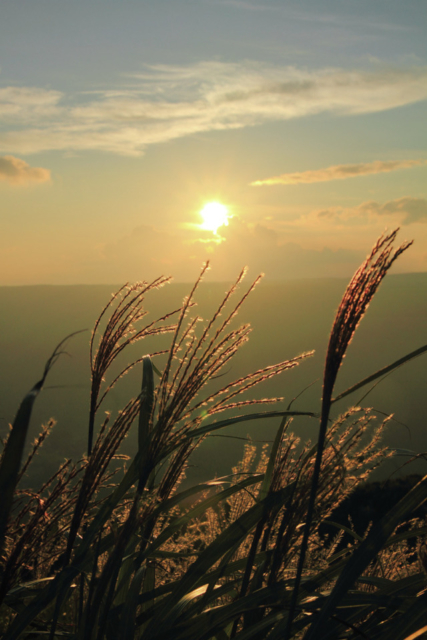 【阿蘇ドライブ 2】大観峰