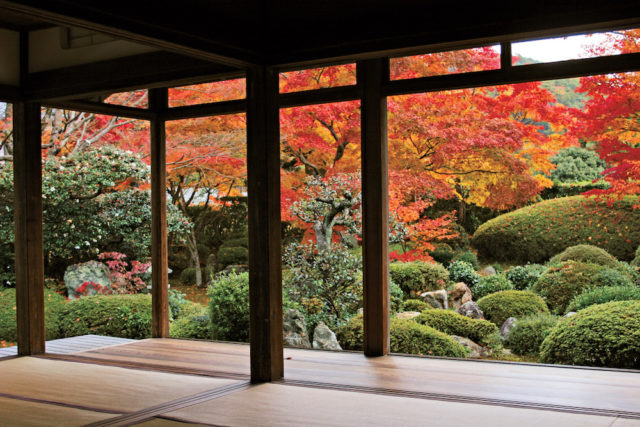 鷹峯周辺の紅葉おすすめスポット 源光庵