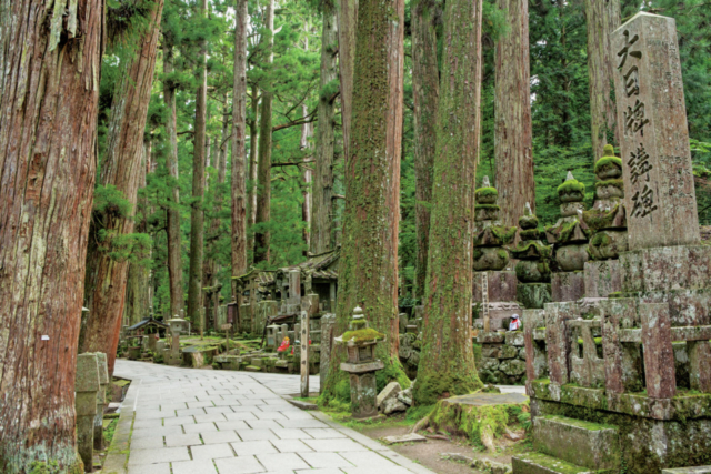 【高野山・奥之院参拝スポット②】樹齢数百年の杉木立「奥之院参道」