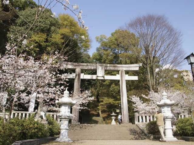 【熊本・山鹿&菊池×観光】菊池神社