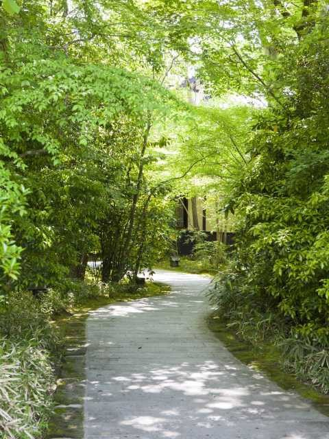 山間の宿らしい素朴な風情にセンスが光る「山しのぶ」